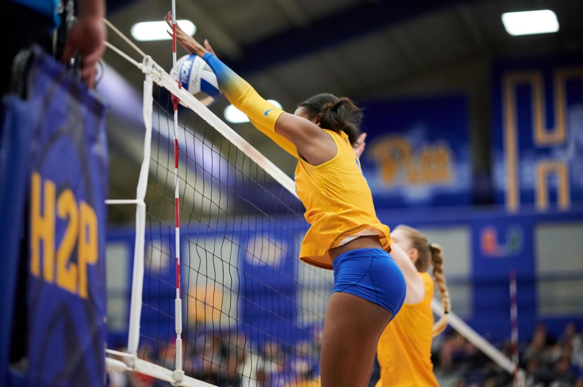 A Pitt player blocks the ball during their match against Virginia Tech Friday night in the Fitzgerald Field House. 
