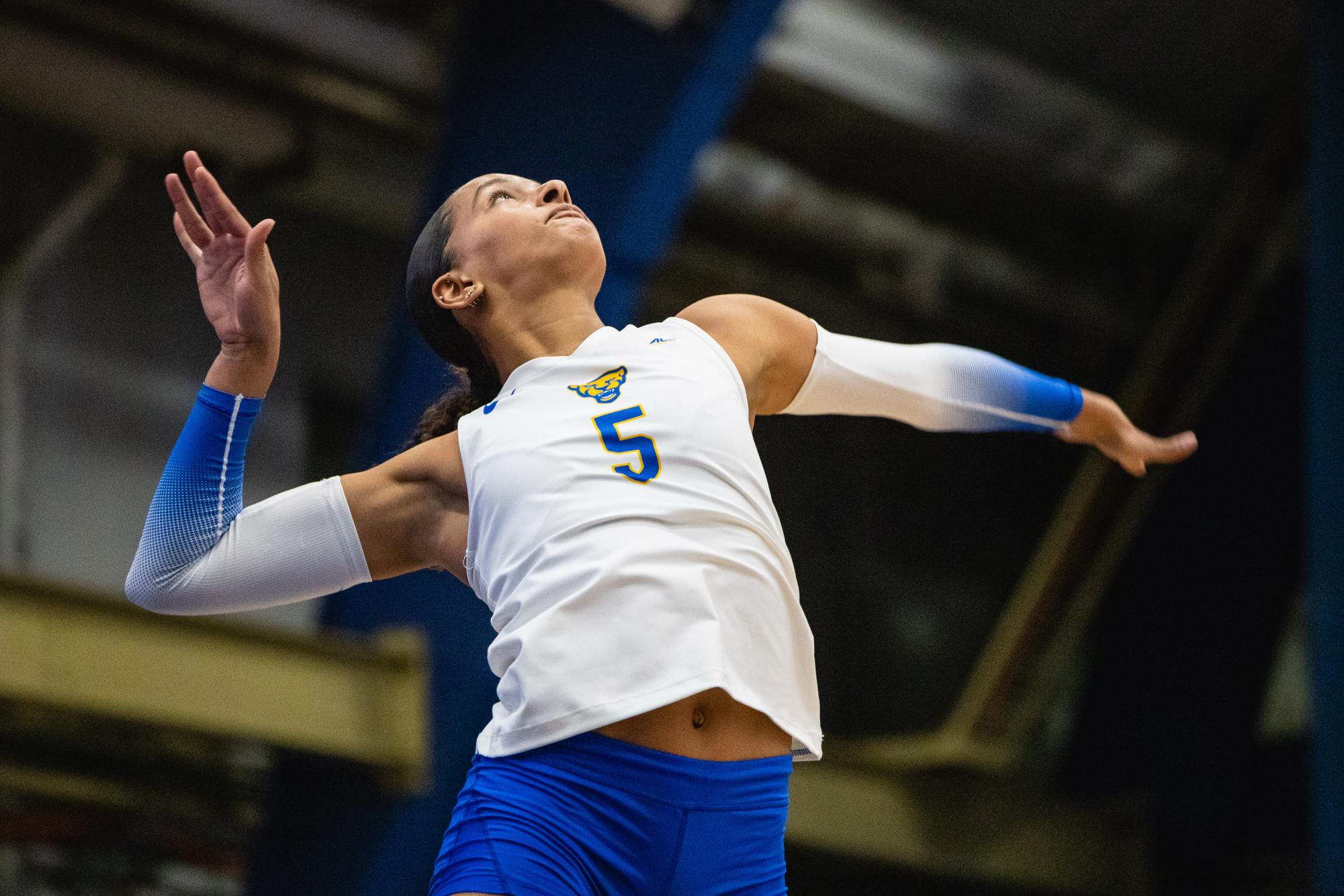 Preview | Pitt Volleyball Looks To Make History In Pivotal Matchup ...