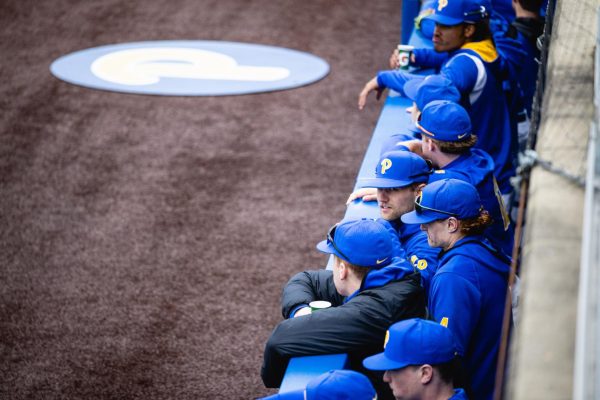 Pitt baseball players stand in the dugout during a game against Virginia Tech on March 24 at the Petersen Sports Complex.