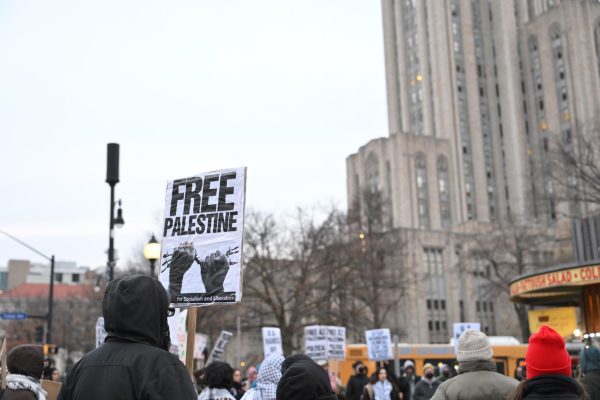 A protester holds a “Free Palestine” sign at the “Hands Off Yemen” protest on January 15th.