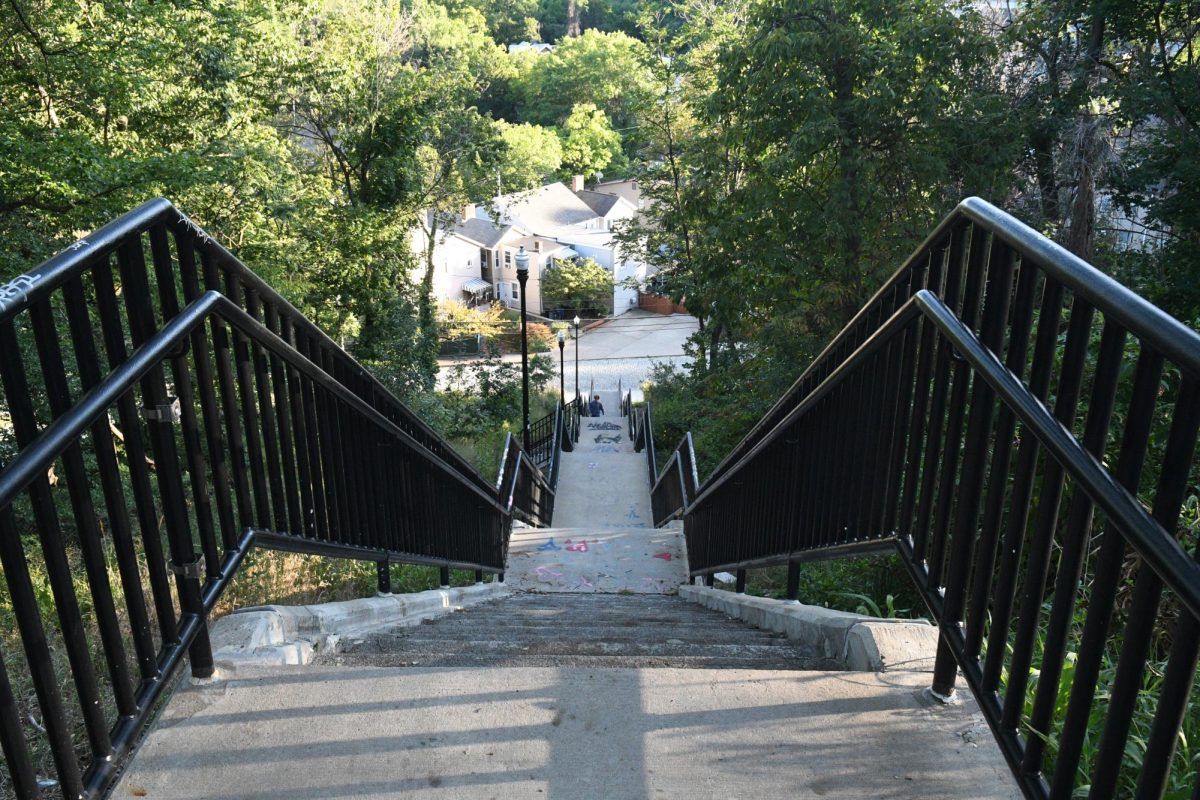 A Pittsburgh staircase descending into a neighborhood.
