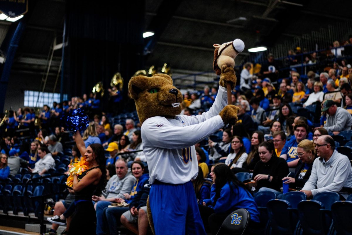 Roc the Panther parades around with a toy pony at the Pitt volleyball game against SMU in the Fitzgerald Field House on Wednesday.