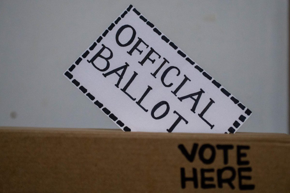 A mock ballot gets placed into a mock ballot box.