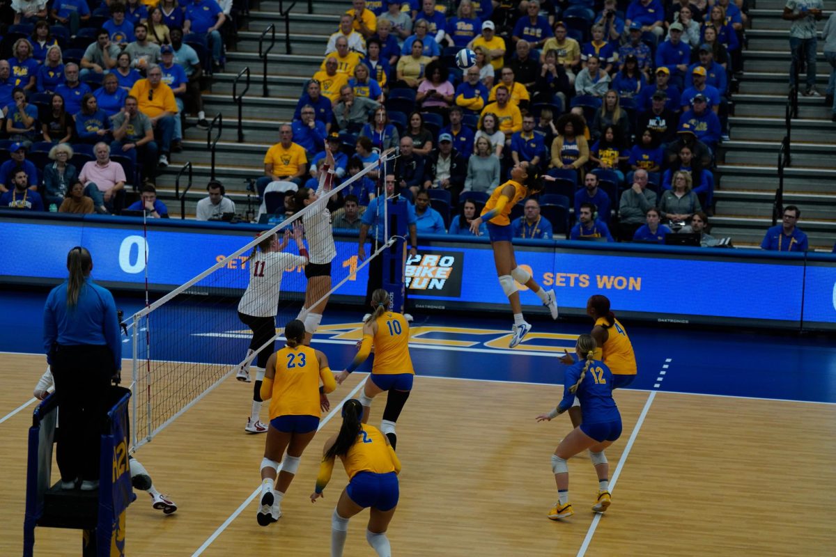 Sophomore right-side hitter Olivia Babcock (5) prepares to hit the ball at the volleyball game against Stanford in the Fitzgerald Field House on Sunday.