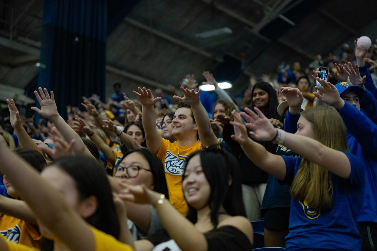 Fans encourage Pitt volleyball at the volleyball game against Stanford in the Fitzgerald Field House on Sunday.