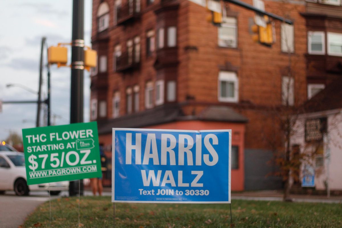 Signs in support of Kamala Harris sit in a yard.