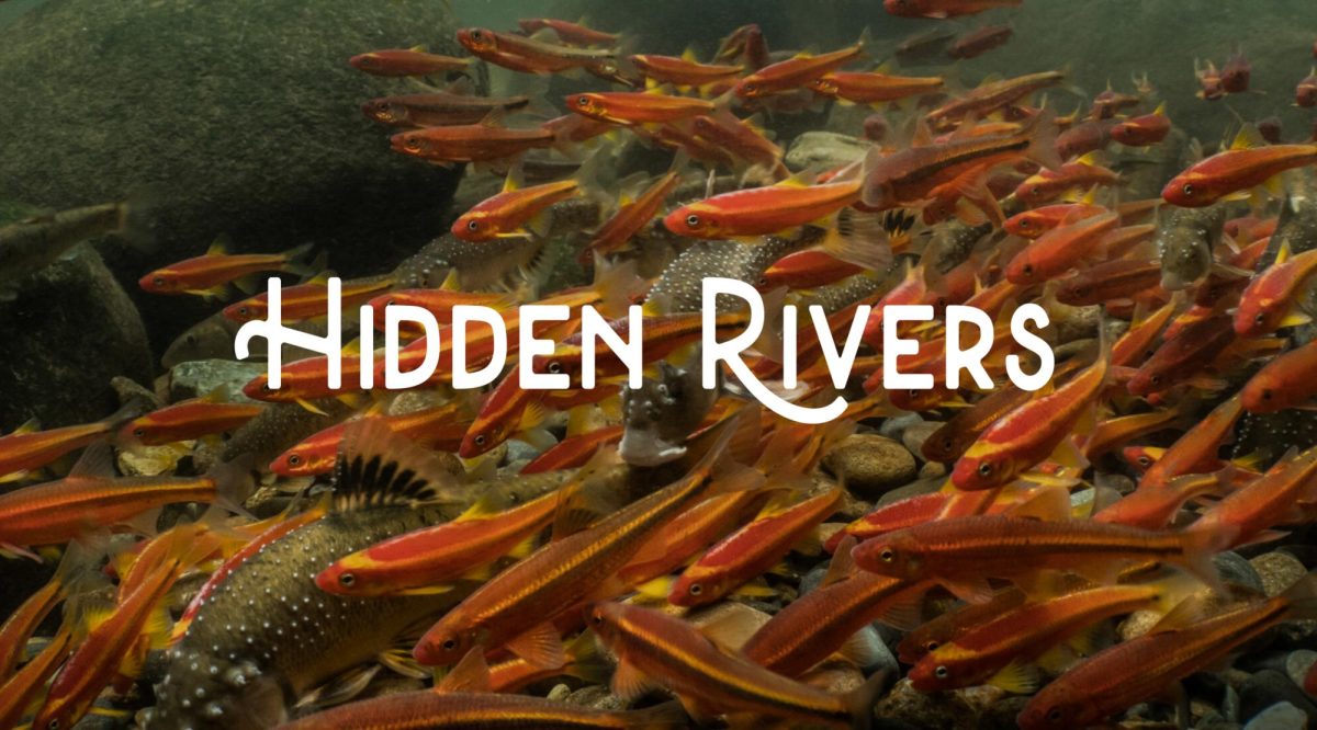 Mascaro Center hosts “Hidden Rivers” screening at Frick Fine Arts