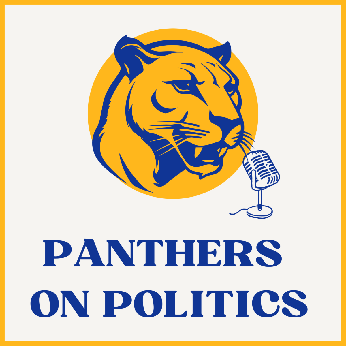 Panthers on Politics // Disinformation in Politics