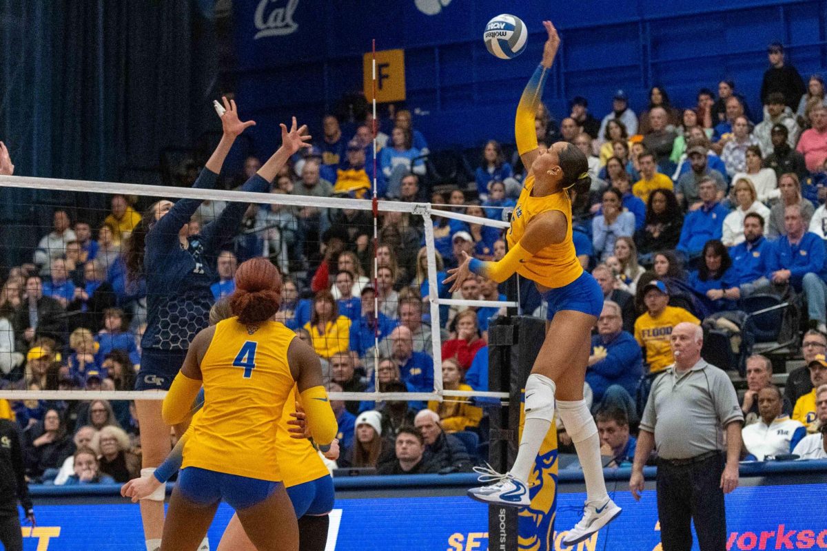 Sophomore right-side hitter Olivia Babcock (5) prepares to hit the ball during the volleyball game against Georgia Tech in the Fitzgerald Field House on Saturday, Nov. 30.
