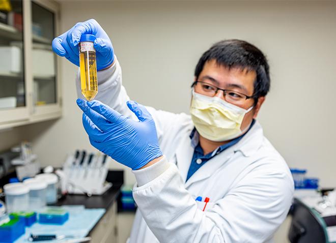 Wei Li, assistant director of Pitt’s Center for Therapeutic Antibodies and co-lead author of the research, sifted through antibody components and found multiple therapeutic antibody candidates in record time.