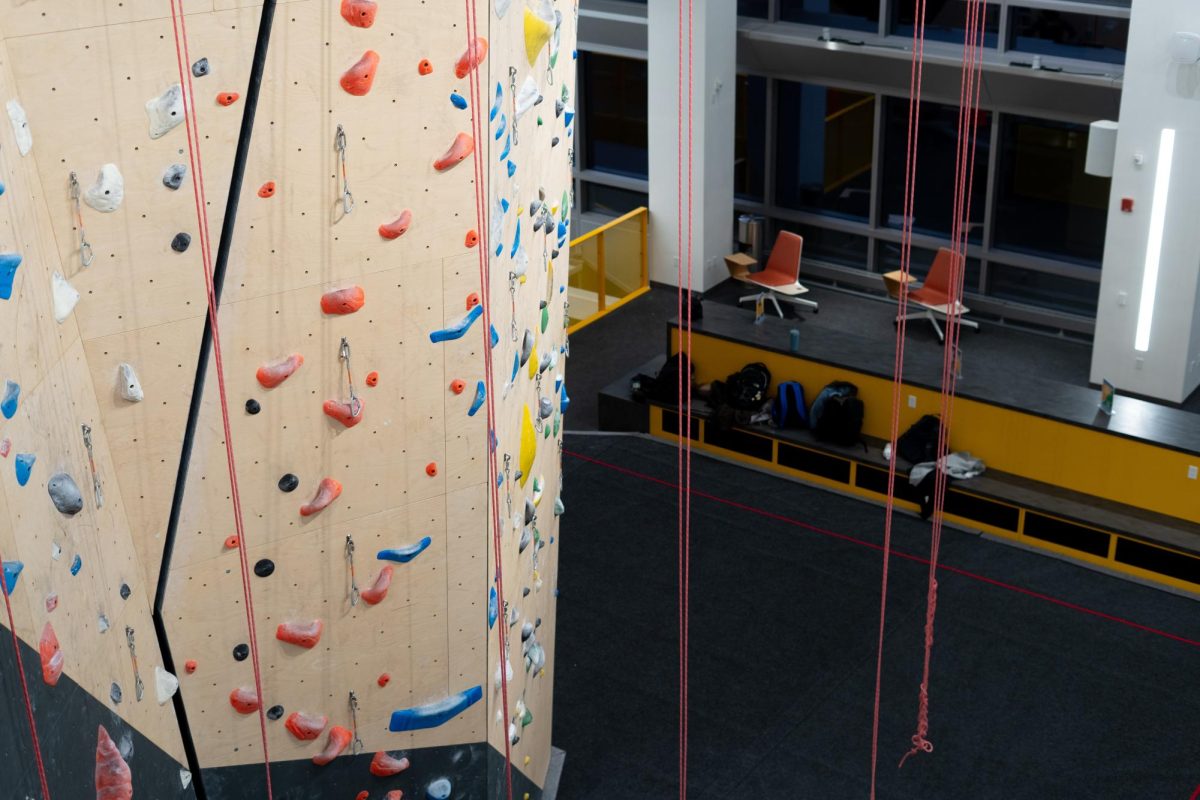 The climbing wall at the Recreation and Wellness Center on O'Hara Street.

